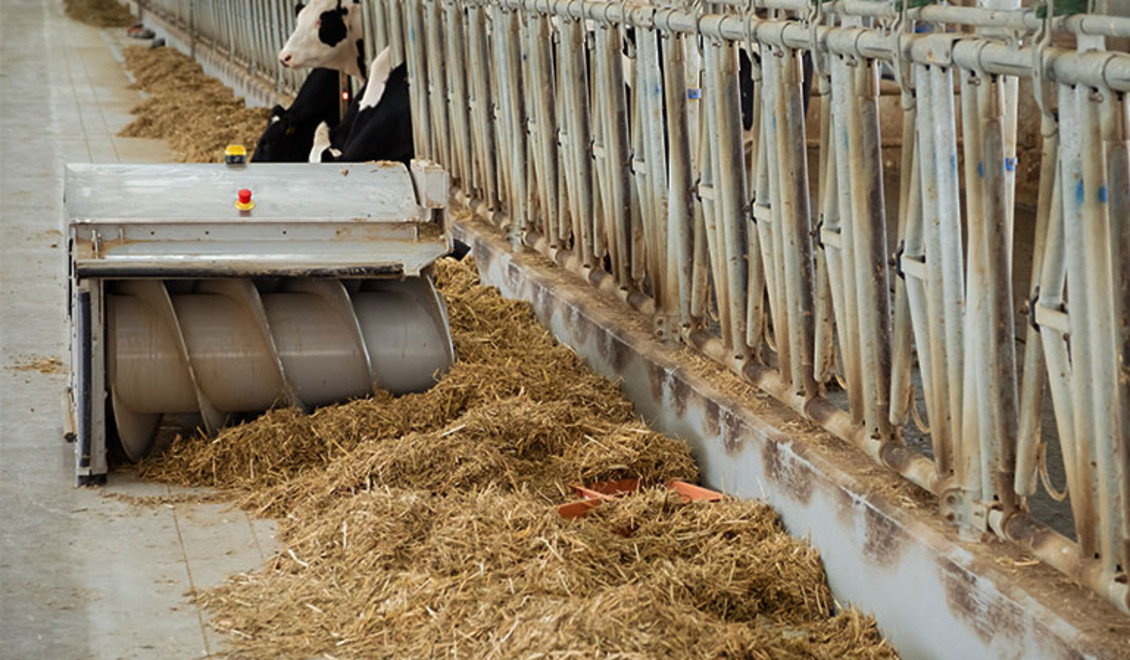 Ein Roboter schiebt das Futter nach