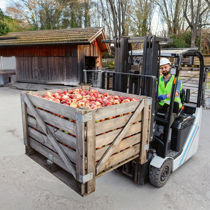 Un élévateur soulève une caisse de pommes.