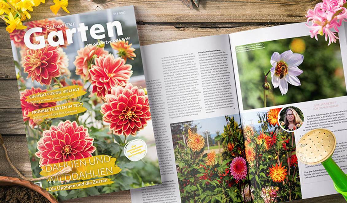 Abbildung des Magazins Schweizer Garten