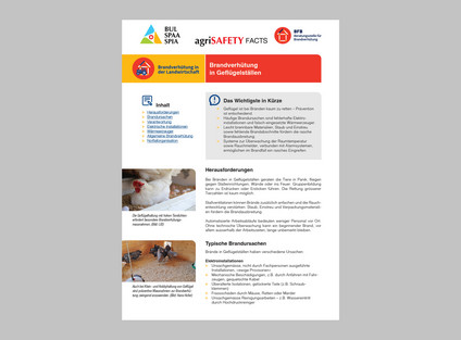 BFB Merkblatt Geflügelställe