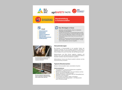 BFB Merkblatt Schweineställe